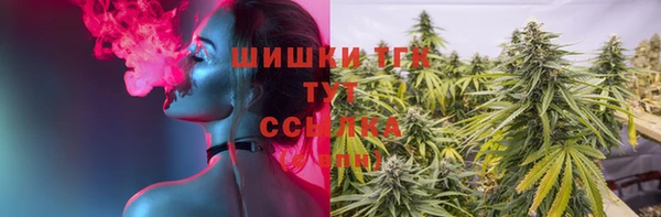 тгк Абинск
