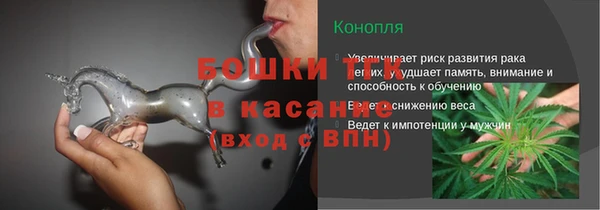 jwh Пересвет