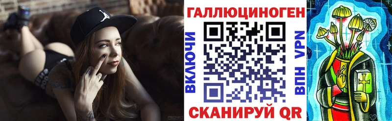 закладка Канск Галлюциногенные грибы Psilocybe