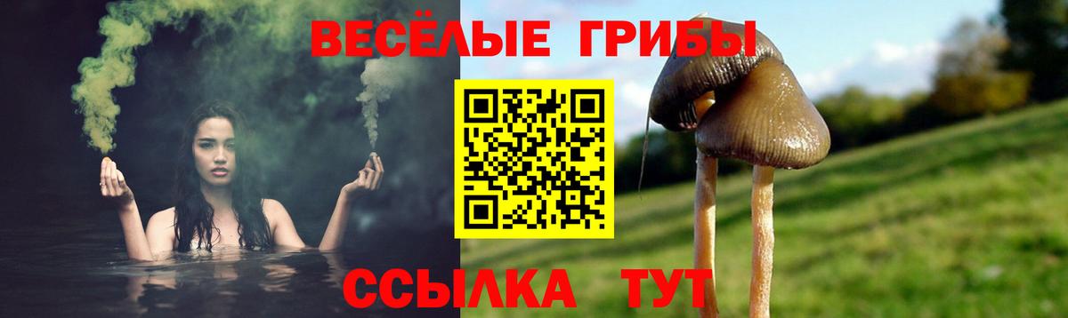 Канск  Галлюциногенные грибы Psilocybe  Псилоцибиновые грибы Psilocybine cubensis  Вход с VPN 