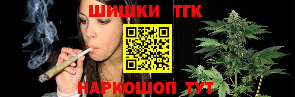 Канабис сатива Канск